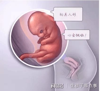 试管代生包性别